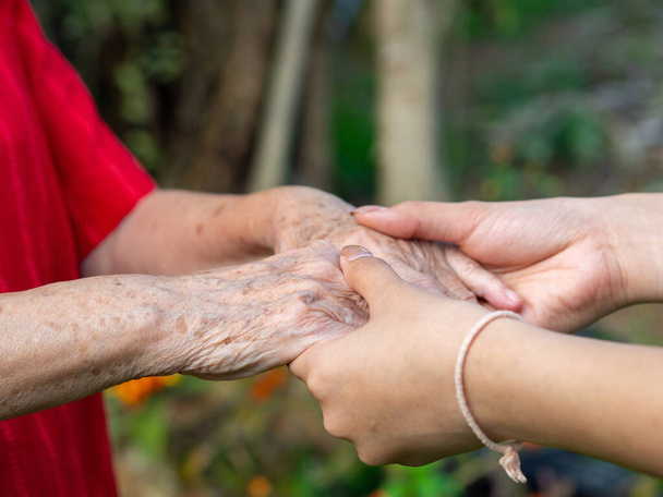 Close-up of a young woman's hands holding an elderly female's hands. Concept of aged people and healthcare. - Photo, Image
