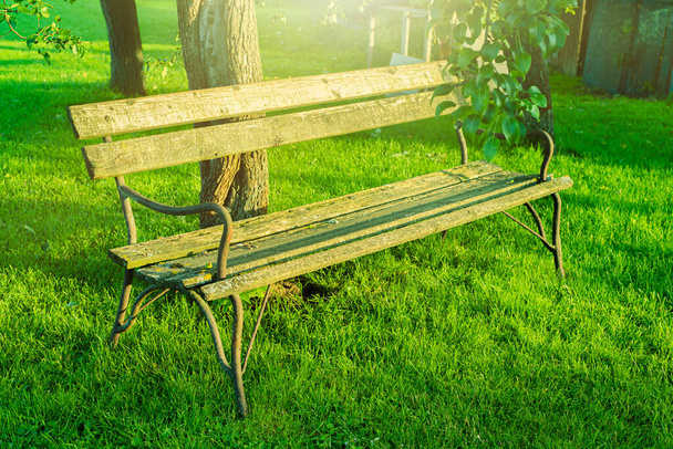 Dřevěné lavice v zahradě dvorku.Letní zahradní záběr. - Fotografie, Obrázek