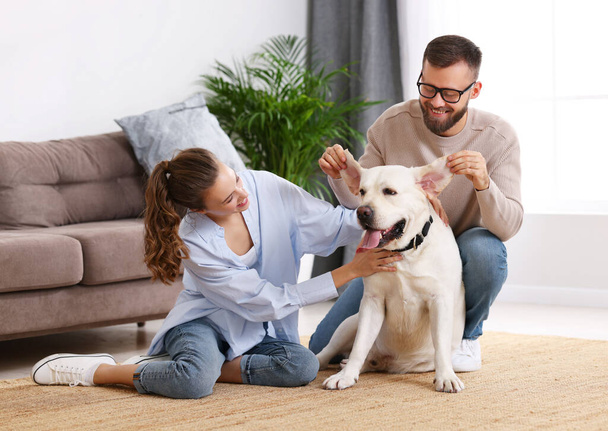 happy married couple playing with their favorite pet dog labrador at home - Foto, Imagem