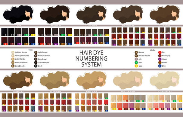 Zásobní vektorová paleta se systémem číslování barev na vlasy, hladinami, tóny a podtóny. Paleta pro 10 úrovní hloubky barvy vlasů. Ženy s dlouhými vlnitými vlasy. Ilustrace v plochém stylu - Vektor, obrázek