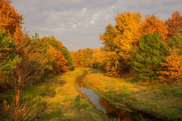 Ποταμός Czarna το φθινόπωρο κοντά στην Gora Kalwaria, Mazowieckie, Πολωνία - Φωτογραφία, εικόνα