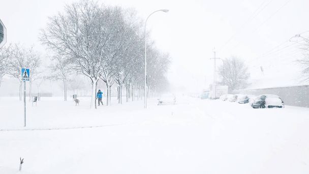Сніжна сцена в парку Вілла-де-Валлекас під час шторму "Філомена". Снігові автомобілі. Людина вигулює собаку посеред хуртовини. - Фото, зображення
