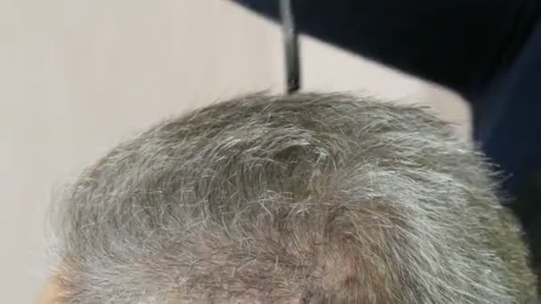 Femme coiffeur mains avec manucure rouge couper les cheveux avec des ciseaux sur la tête. Un homme âgé aux cheveux gris qui se fait couper les cheveux dans un salon de coiffure - Séquence, vidéo