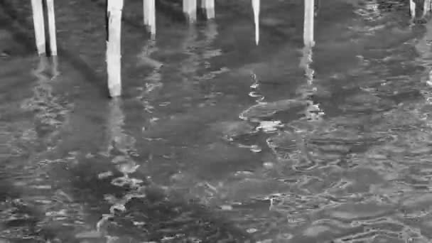 Einsamer morscher Holzpfahl im Wasser. - Filmmaterial, Video