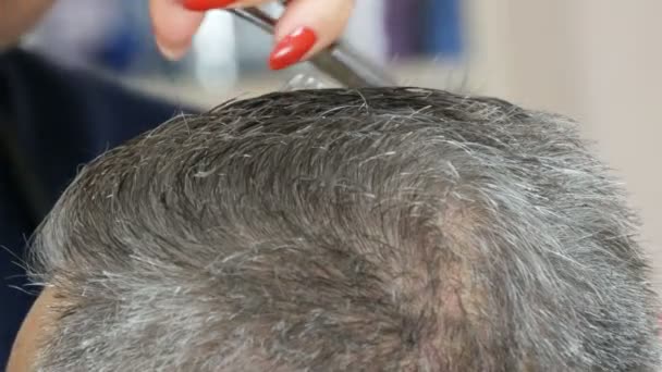 Vrouw kapper handen met rode manicure geknipt haar met schaar op het hoofd. Een oudere grijze man met een kapsel in een kapsalon. - Video