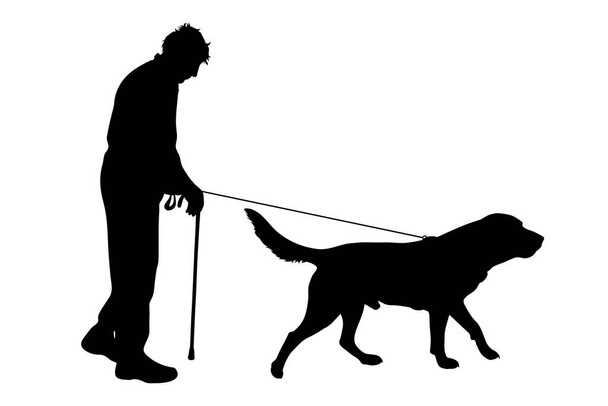 Wektorowa sylwetka staruszka, który spaceruje z psem ze smycz na białym tle. Symbol zwierzęcia, zwierzątko domowe, przyjaciele, seniorzy, spacer. - Wektor, obraz