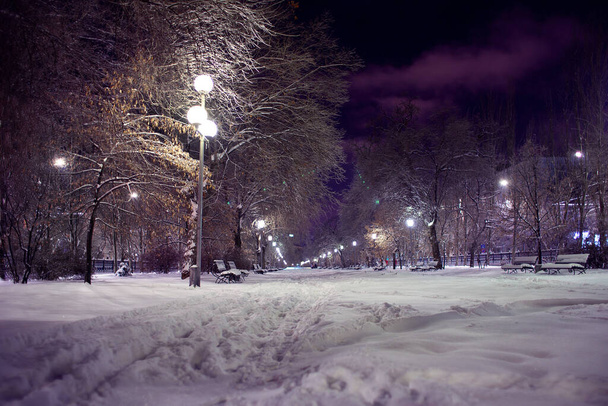 Näkymä yökaupunkiin talvella. Lumen peittämä kaupunkipuisto yöllä. Katuvalot bulevardilla - Valokuva, kuva