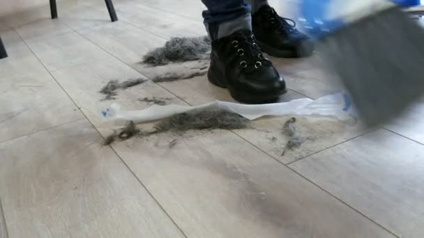 O fim do corte de cabelo no salão de beleza de cabeleireiro. O cabelo cortado é varrido com uma vassoura e colher - Filmagem, Vídeo