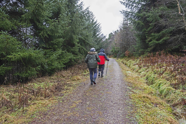 Vanhempi pariskunta kävelee polkua pitkin syrjäisen metsämetsän halki maaseudulla talvella - Valokuva, kuva