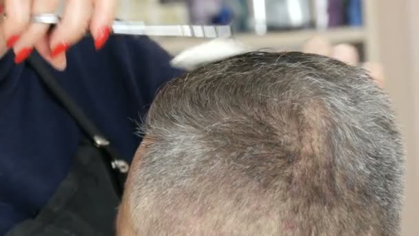 Friseurinnen mit roten Maniküre geschnittenen Haaren mit einer Schere am Kopf. Ein älterer grauhaariger Mann, der sich in einem Friseursalon die Haare schneiden lässt - Filmmaterial, Video