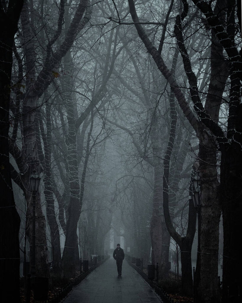 silhouette di un uomo nel parco nebbioso - Foto, immagini