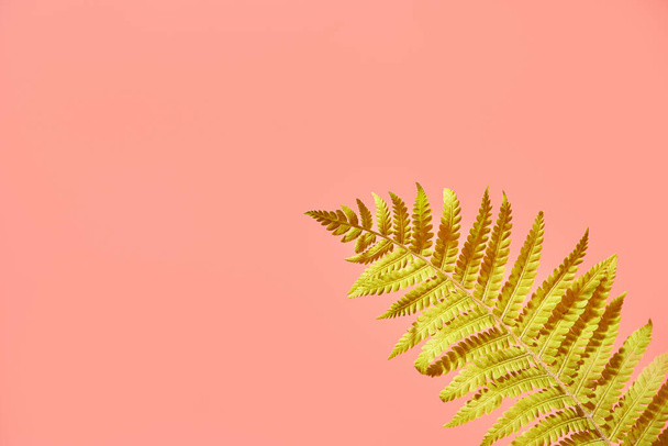 green fern leaf on pink background. copy space - Foto, Imagen