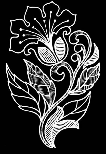 акварельне розфарбування квітів, квітковий візерунок на чорному тлі
  - Фото, зображення