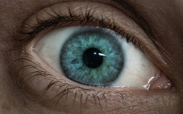 Человеческий глаз крупным планом. - Фото, изображение