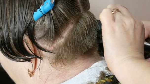 De vrouwelijke handen van een kapper maken een korte bob gesneden op grijs haar en knippen de uiteinden van de klant. Speciale haarspelden voor kappers op een vrouwenhoofd - Video