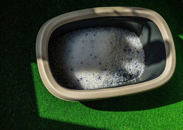 Szary kuweta z piaskiem na podłodze. Pudełko na śmieci dla kotów z silikonowymi granulkami na zielonej sztucznej trawie - Zdjęcie, obraz