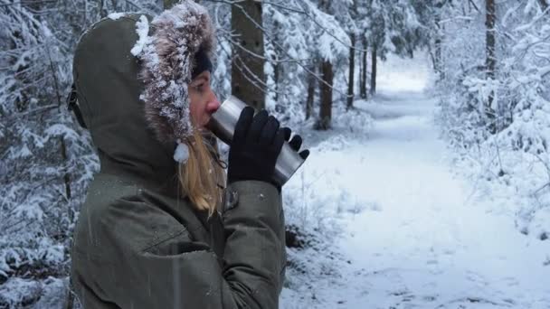 Alberi ricoperti di neve - Filmati, video