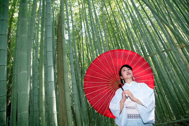 Aziatische vrouw draagt traditionele Japanse kimono in Bamboo Forest. - Foto, afbeelding