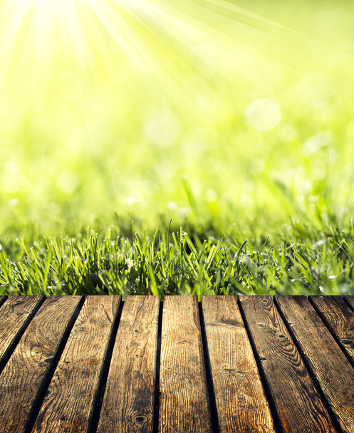 grass with green bokeh - Zdjęcie, obraz