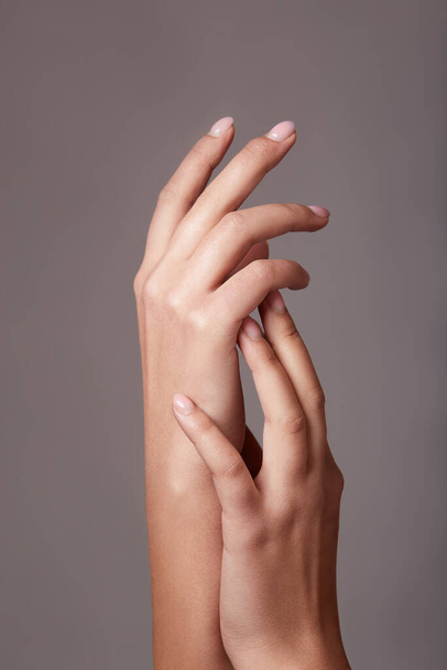Image rapprochée des mains de la belle femme avec manucure rose clair sur les ongles sur fond gris. - Photo, image