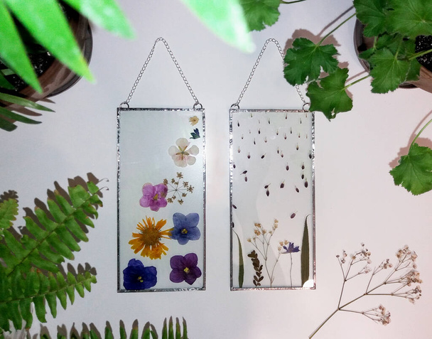 Gerahmte gepresste Blumen in Tiffany-Technik in Glasmalerei - Foto, Bild