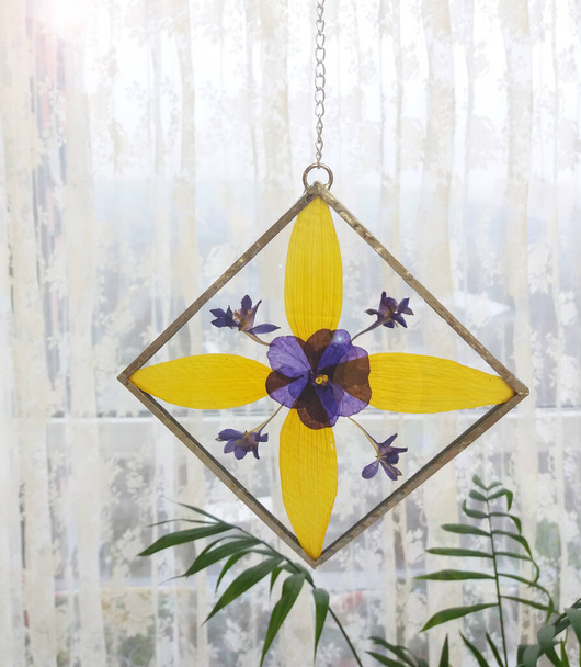 Framed pressed flowers in tiffany technique in stained glass - Photo, Image