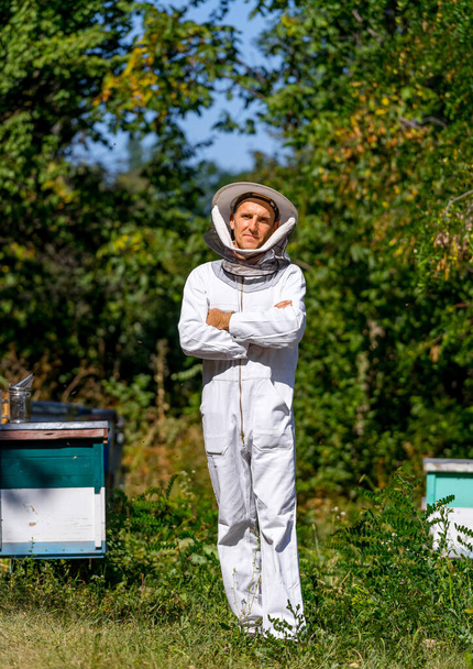 Full length portrait of a man in white uniform and hat with net on garden with hives background. Green trees and colorful hives at apiary. - Valokuva, kuva