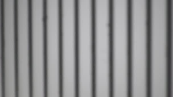 Schatten-Overlay-Effekt Hintergrund. Schatten von Linien und Rahmen an einer hellen Wand an einem sonnigen Tag. - Filmmaterial, Video