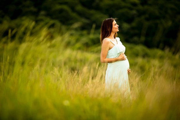 Jolie jeune femme enceinte se détendre à l'extérieur dans la nature le jour d'été - Photo, image