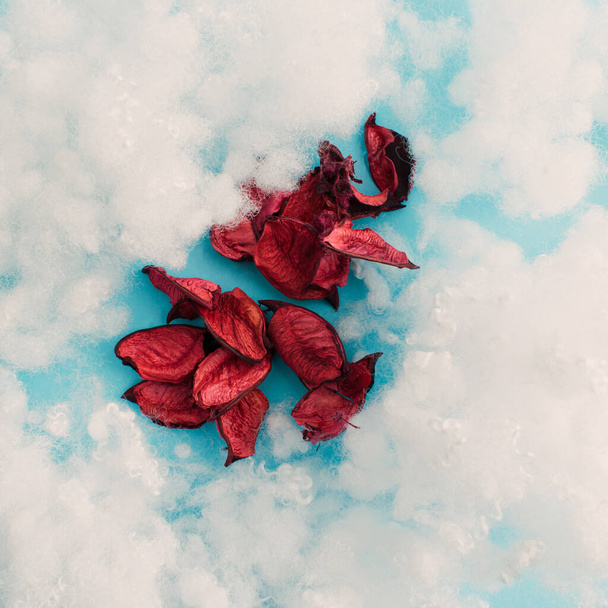 Red petals and white fluffy cotton clouds on bright blue background. Beautiful, romantic and colorful composition - Foto, Imagem
