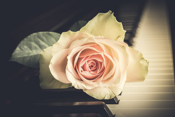 Halvány rózsaszín rózsa egy zongora billentyűzet, vintage stílusban - Fotó, kép