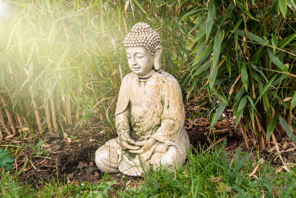 日当たりの良い庭に位置し、竹の葉に囲まれた仏像の瞑想に座って - 写真・画像