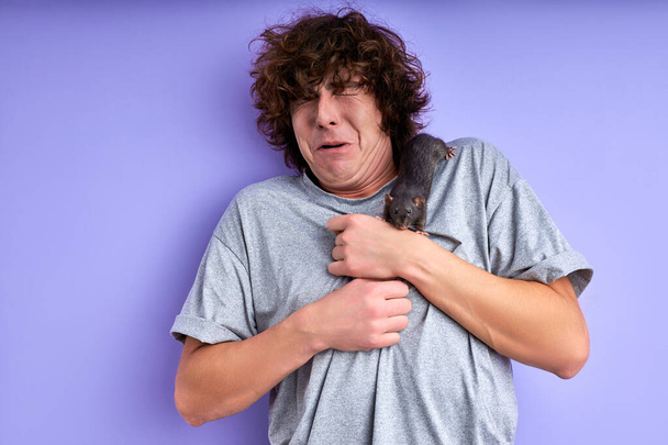 trained decorative rat climbs on mans t-shirt, crawling - Фото, изображение