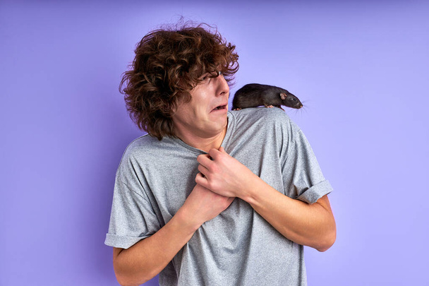a curious gray rat crawling on a mans shoulders - Фото, изображение