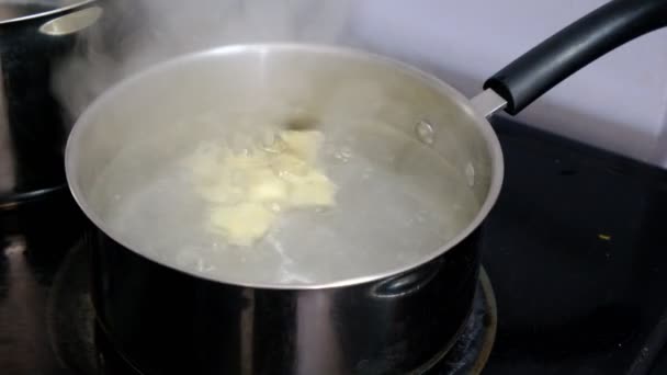 Faire bouillir les gnocchis dans une grande casserole en acier. Une cuisine italienne traditionnelle - Séquence, vidéo