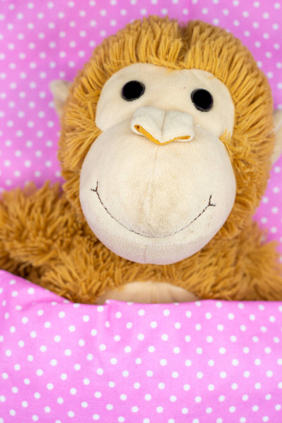 Scimmia coccolosa giocattolo per bambini a letto sotto un piumino rosa con punti bianchi per biglietti di congratulazioni e cartoline. Verticale - Foto, immagini