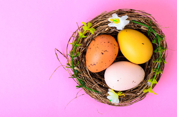 Символы, яйца, цветы, пряничное печенье для празднования Пасхи. Студия фото - Фото, изображение