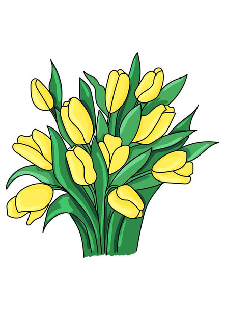 Strauß Frühlingsblumen isoliert auf weißem Hintergrund. Umrisszeichnung, Linienzeichnung, farbige Zeichnung - Vektor, Bild