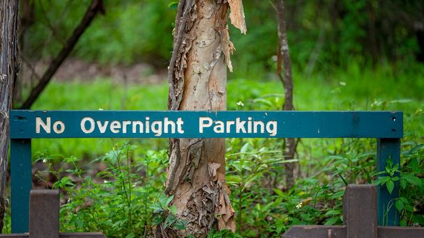 Ночівля Парковка знак в лісовій парковці
 - Фото, зображення