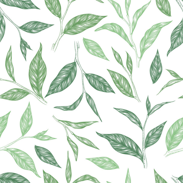 Vector seamless pattern with green hand drawn tea leaves and branches isolated on white background. Engraved style design for print, fabric, invitation, brochure, card, wallpaper, packaging - Vector, Image