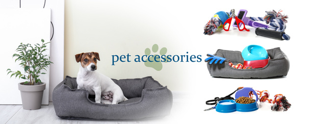 Banner de publicidade para acessórios para animais de estimação com cachorro bonito - Foto, Imagem