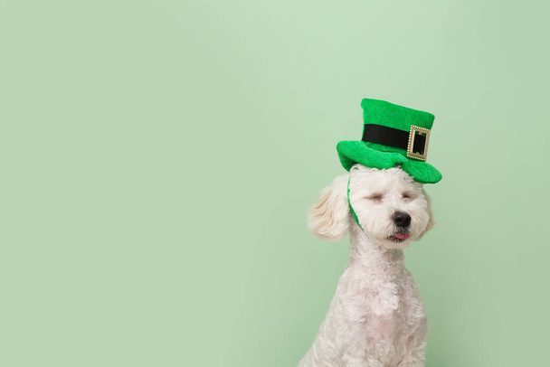 Cute dog with green hat on color background. St. Patrick's Day celebration - Fotoğraf, Görsel