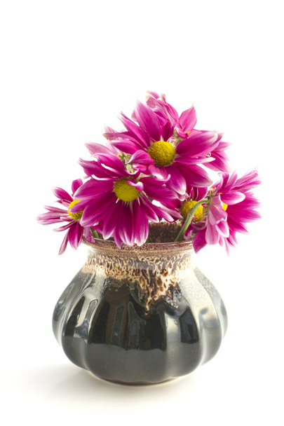 Цветы в цветочной вазе на белом фоне
 - Фото, изображение