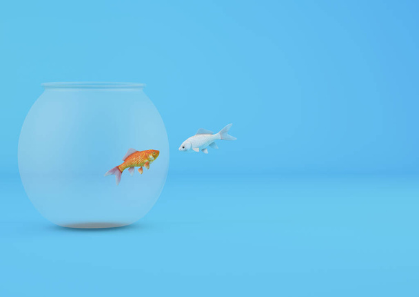 Representación en 3D de peces que se encuentran con un pez dorado en un pequeño acuario aislado sobre un fondo azul - Foto, Imagen
