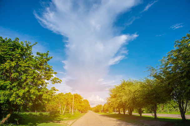 beeld van weg met bomen aan beide zijden en witte wolk aan het einde van bestemming. - Foto, afbeelding