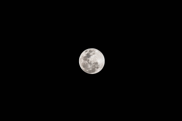 Grande nuit de pleine lune, illuminée dans un ciel sans nuages. - Photo, image