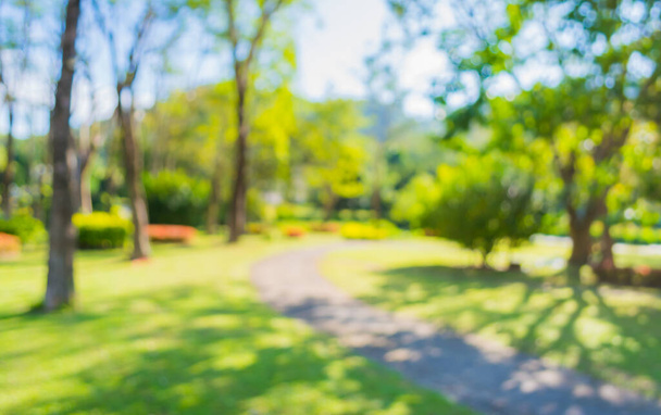 immagine di passerella sfocata con giornata di sole nel parco verde per l'utilizzo in background . - Foto, immagini