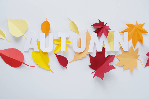 letter autumn cut from paper with paper autumn leaves on white background - 写真・画像