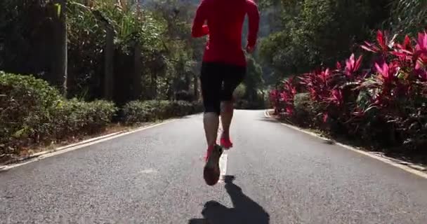 Asiatin joggt im Park - Filmmaterial, Video