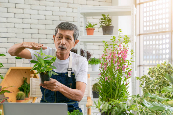 Senior man zahradník pracující s kamerou představuje pokojové rostliny během online živého proudu. - Fotografie, Obrázek
